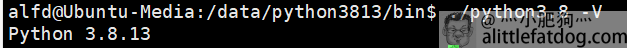 Python-3.8.13第一次返回版本号